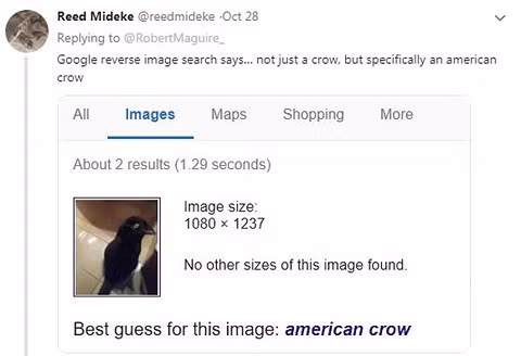 Sự thật sinh vật đen gây tranh cãi, Google cũng bị lừa - Hình 2 Su that sinh vat den gay tranh cai, Google cung bi lua-Hinh-2