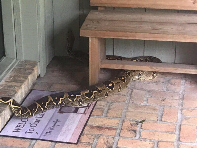 Tran khung chan cua nha dan gay rung minh