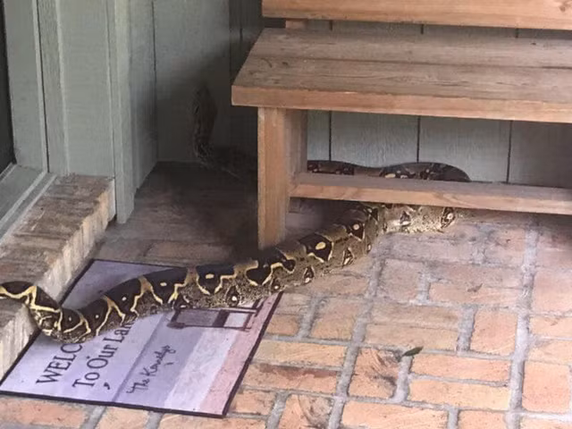 Tran khung chan cua nha dan gay rung minh