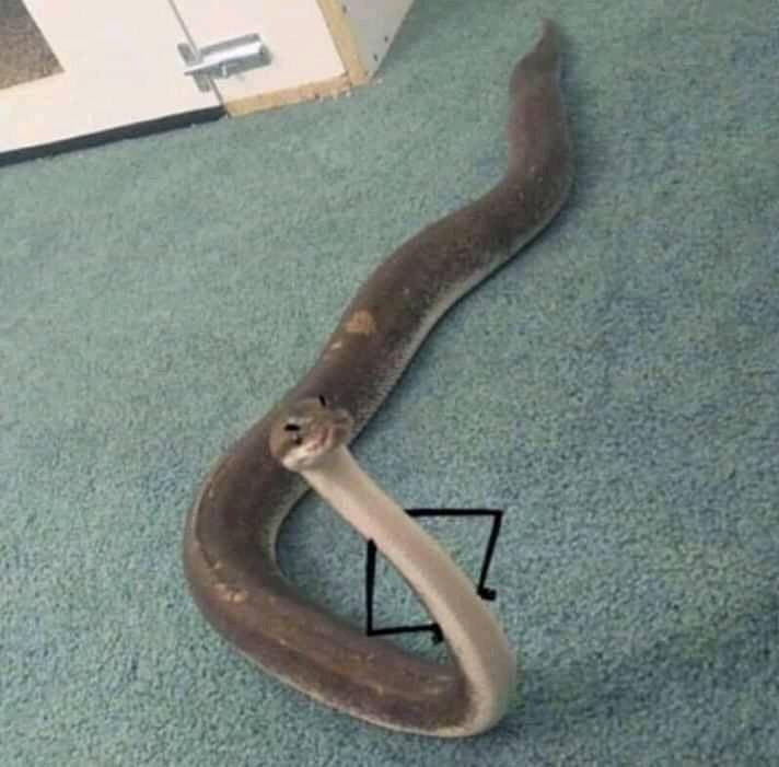 "Hôm qua đi đâu mà giờ này mới về?"