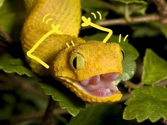 Khi bạn đang đi đường bỗng gặp "crush".