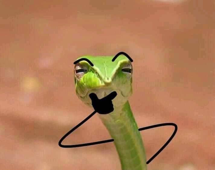 "Nhìn tôi có chút nào đáng sợ à?"