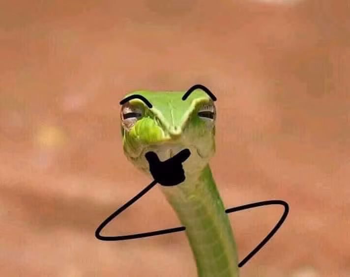 "Nhìn tôi có chút nào đáng sợ à?"