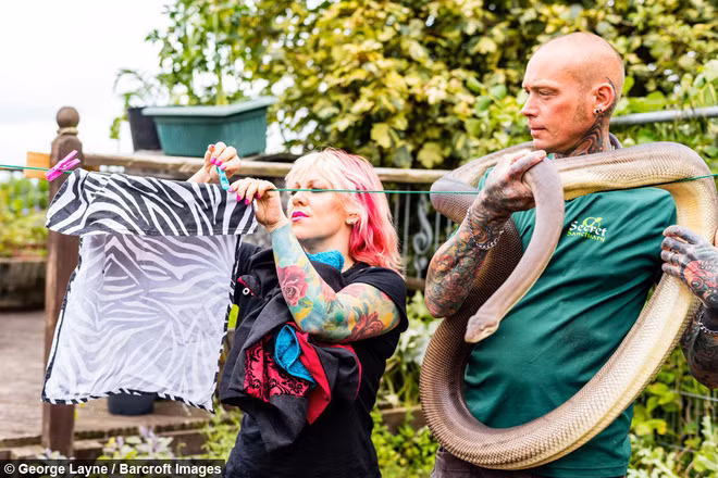 Chuyen la hom nay: Cap vo chong 