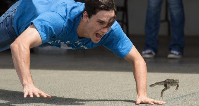 Khi chơi trò nhảy ếch (1 trò chơi dân gian được tổ chức rải rác ở Mỹ, đặc biệt là bang California, các con ếch tham gia sẽ được người chơi thúc ép sao cho nhảy cao và xa nhất), cấm ăn thịt ếch. Điều luật quái lạ về động vật ở bang California, Mỹ được thực hiện khá nghiêm ngặt để bảo đảm quyền lợi của ếch: hạn chế số lượng "thí sinh", không mở nhạc ồn ào. Và nếu ếch chết, bạn phải đem tiêu hủy, nếu ăn thịt nó là đã vi phạm pháp luật.