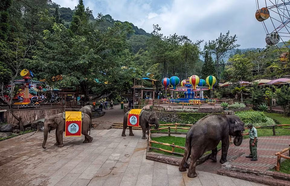 Trên website Taman Safari Indonesia (TSI), vườn thú này có những khẩu hiệu tuyên bố họ là đơn vị tiên phong ở Indonesia trong việc bảo tồn và chăm sóc động vật hoang dã. Tuy nhiên, sau khi sự việc bạo hành diễn ra tại đây được phơi bày, chắc chắn sẽ có nhiều làn sóng chỉ trích, phẫn nộ trong và ngoài nước lên án vườn thú.