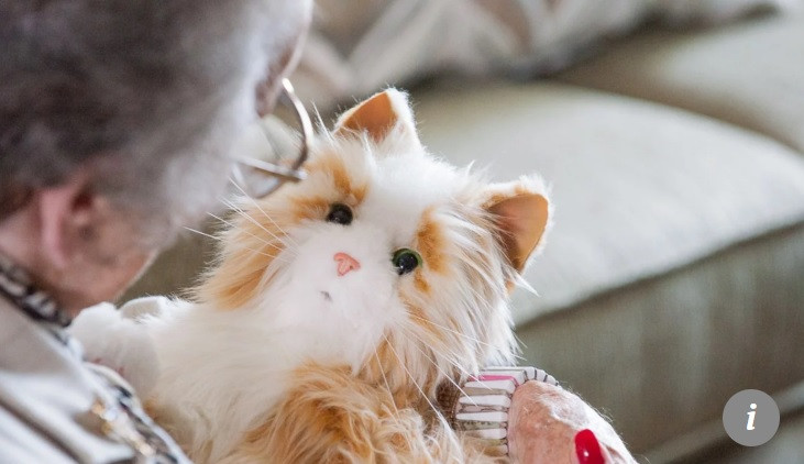 Lieu robot cho meo co the thay the thu cung that su?-Hinh-2