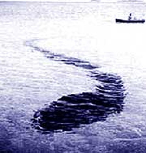 Cau chuyen am anh ve loai 