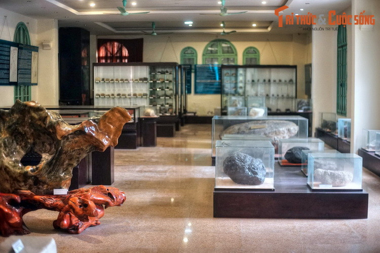 Bên cạnh việc phục vụ các nghiên cứu khoa học, Bảo tàng cũng mở cửa phục vụ nhu cầu tham quan của người dân, khách du lịch và là một điểm đến lý tưởng cho những ai thích khám phá thế giới tự nhiên.