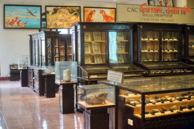 Ngày nay Bảo tàng Địa chất là nơi lưu giữ hàng nghìn mẫu vật thuộc các các bộ sưu tập được phân thành chuyên đề hoặc theo khu vực địa lý. Ngoài mẫu vật trong nước, Bảo tàng còn sở hữu nhiều mẫu vật quý có nguồn gốc từ nước ngoài.