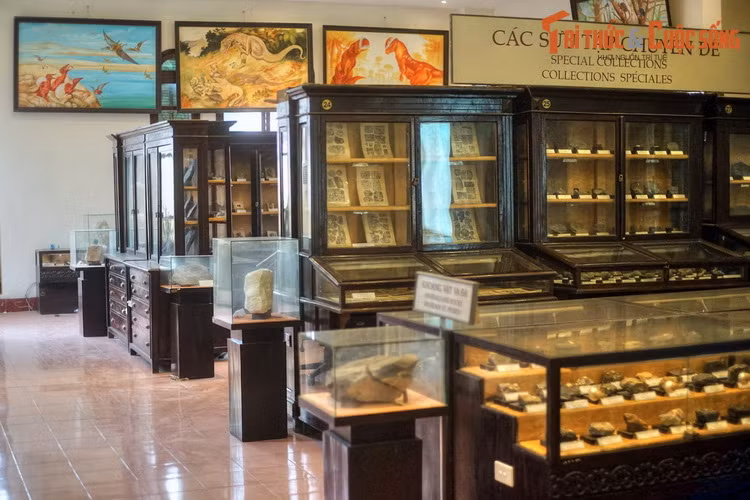 Ngày nay Bảo tàng Địa chất là nơi lưu giữ hàng nghìn mẫu vật thuộc các các bộ sưu tập được phân thành chuyên đề hoặc theo khu vực địa lý. Ngoài mẫu vật trong nước, Bảo tàng còn sở hữu nhiều mẫu vật quý có nguồn gốc từ nước ngoài.