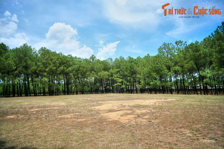 Sau thất bại của cuộc tấn công Kinh thành Huế do Tôn Thất Thuyết lãnh đạo năm 1885, lễ tế Giao đã bị gián đoạn trong 7 năm. Đến năm 1891, dưới thời vua Thành Thái, lễ tế Giao mới được tiếp tục cử hành nhưng theo thể thức ba năm một lần vào các năm Tý, Mão, Ngọ, Dậu.