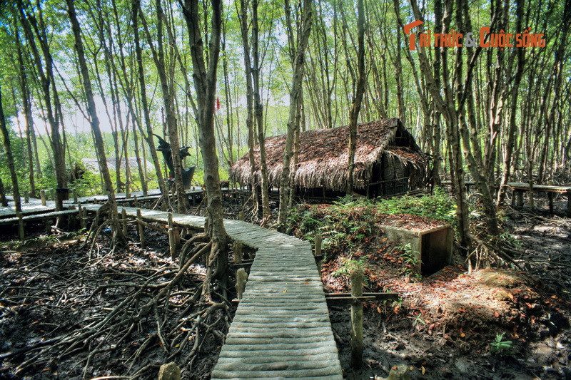 Đến thế kỷ 20, tình hình đã thay đổi hoàn toàn. Trong cuộc kháng chiến chống Pháp và chống Mỹ, rừng Sác đã trở thành một căn cứ địa quan trọng với chiến cục ở miền Nam Việt Nam.