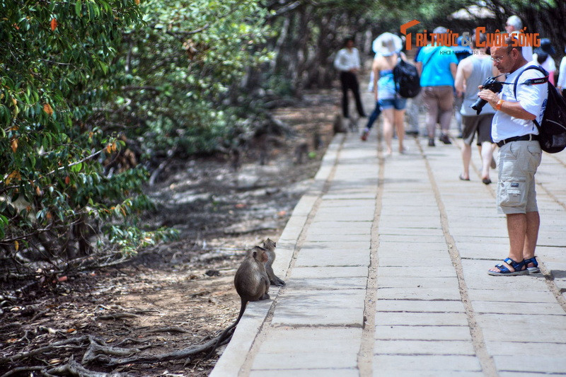 Từ một chốn "thâm sơn cùng cốc" không ai lui tới, giờ đây rừng Sác đã trở thành một trung tâm du lịch sinh thái với các hoạt động trải nghiệm đa dạng, là một điểm đến không thể bỏ qua của du khách trong và ngoài nước ở TP. HCM.