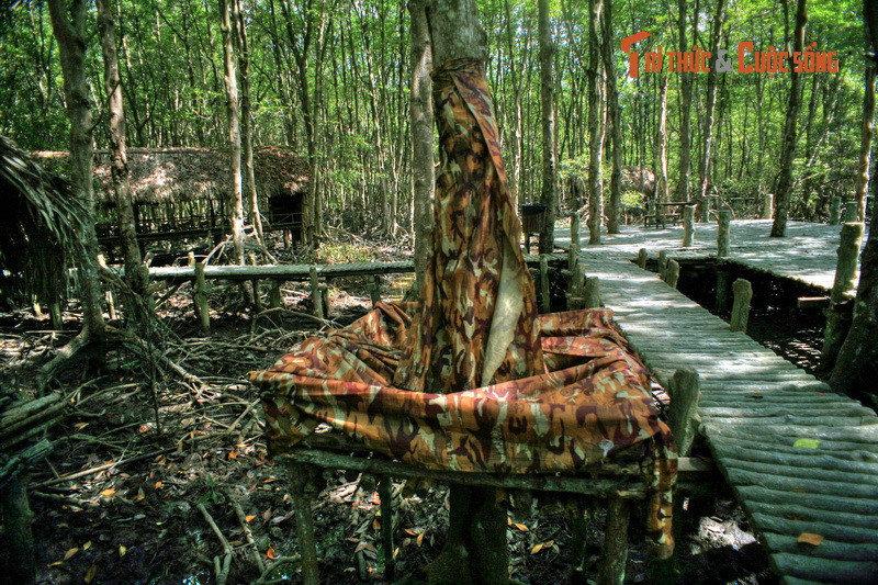 Thời kháng chiến chống Mỹ, chiến khu Rừng Sác có vị trí mang tính chiến lược vì nằm sát biển, gần Sài Gòn - căn cứ đầu não của Mỹ và chính quyền Sài Gòn, lại có địa hình hiểm yếu với rừng rậm bạt ngàn, sông rạch chằng chịt.