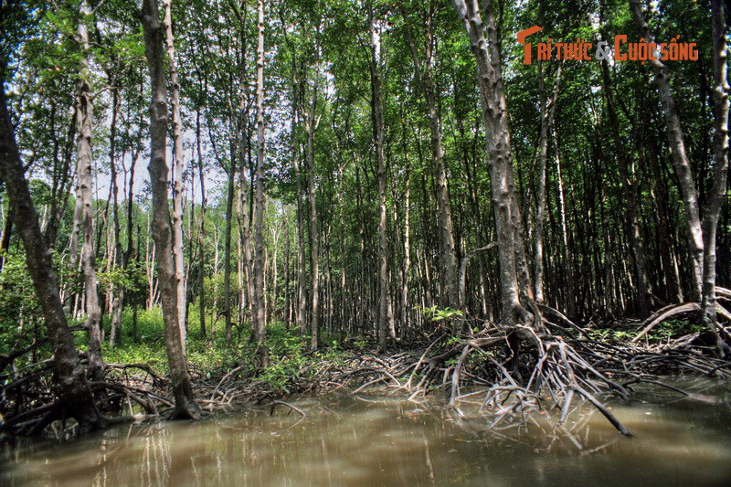 Điều bất ngờ ở chốn “thâm sơn cùng cốc” của TP. HCM Dieu bat ngo o chon “tham son cung coc” cua TP. HCM