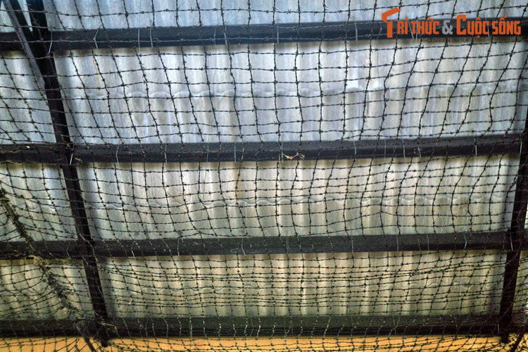 Đặc biệt, từ năm 1956, Mỹ - Diệm mở chiến dịch lớn đàn áp phong trào cách mạng miền Nam. Thời gian này nhiều cơ sở cách mạng của ta bị lộ, chiến sĩ cách mạng của ta bị bắt ngày càng đông.