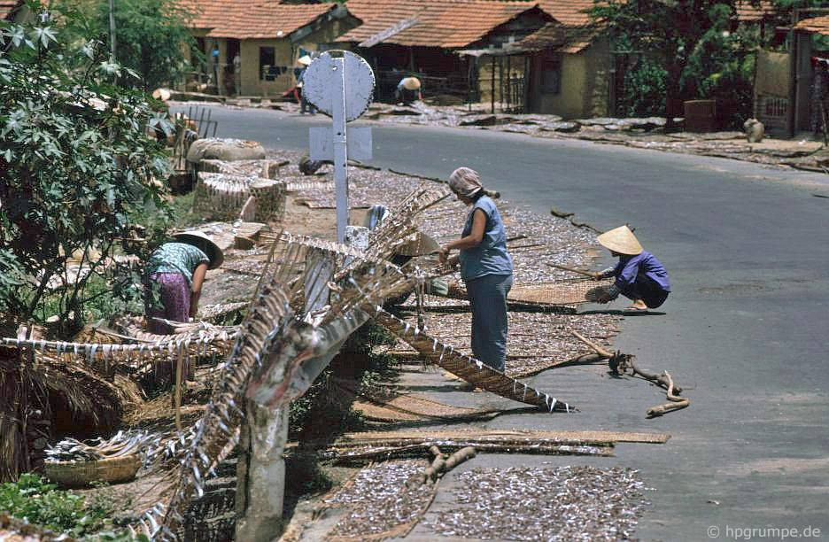 Người dân Phú Yên đang phơi khô cá bên cạnh đường quốc lộ