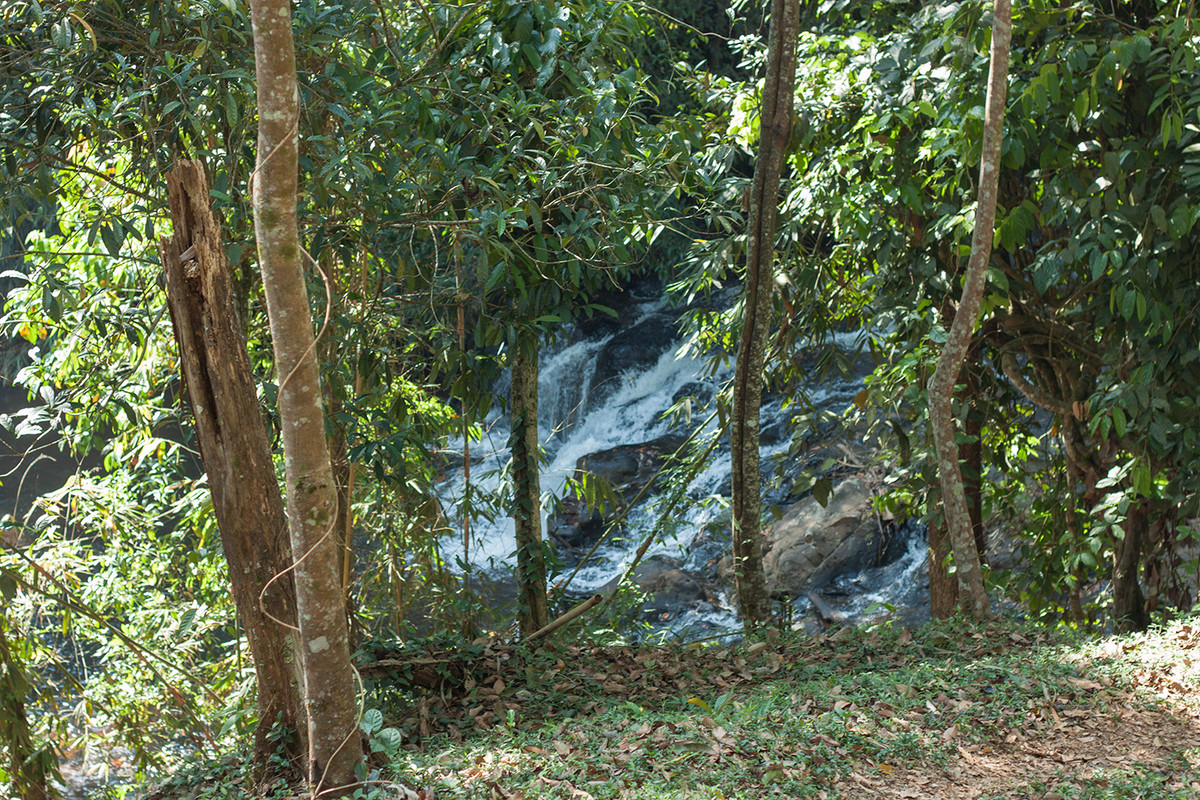 Ngoài thác Tam Hợp, phía sau chùa Di Đà còn có thác Quan Âm.