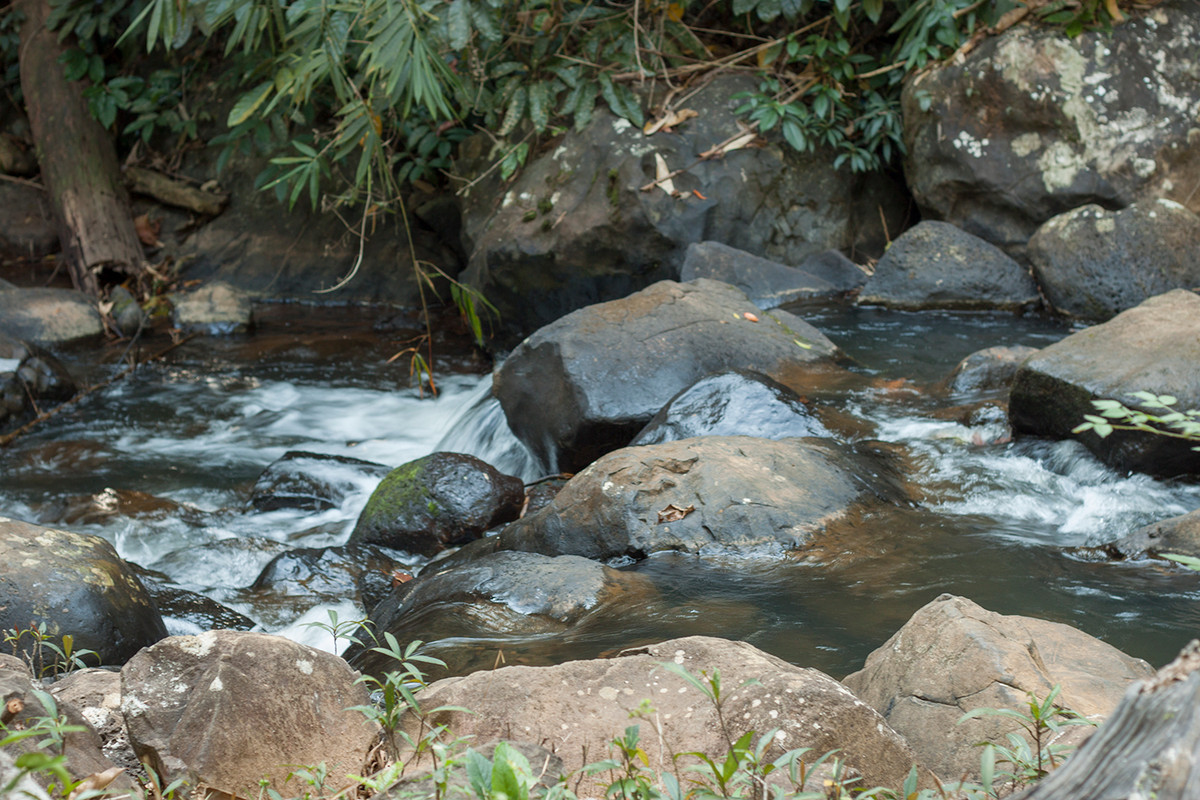 Đây là một dòng thác thơ mộng và thanh bình, quanh năm reo ca giữa núi rừng.