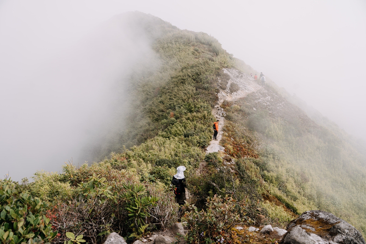 Bạch Mộc Lương Tử ở độ cao 2.100m sẽ xuất hiện sau gần một ngày leo núi mệt lả và kiệt sức. Ở độ cao này, những tầng cây cổ thụ như thấp hơn nhưng nhiều rong rêu bám, con dốc dài, ngoằn ngoèo, vách đá gần như dựng đứng trơn trượt.
