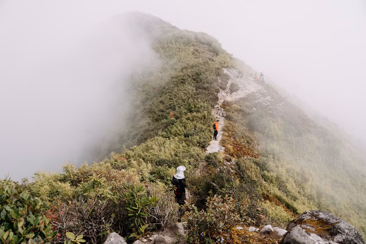 Bạch Mộc Lương Tử ở độ cao 2.100m sẽ xuất hiện sau gần một ngày leo núi mệt lả và kiệt sức. Ở độ cao này, những tầng cây cổ thụ như thấp hơn nhưng nhiều rong rêu bám, con dốc dài, ngoằn ngoèo, vách đá gần như dựng đứng trơn trượt.
