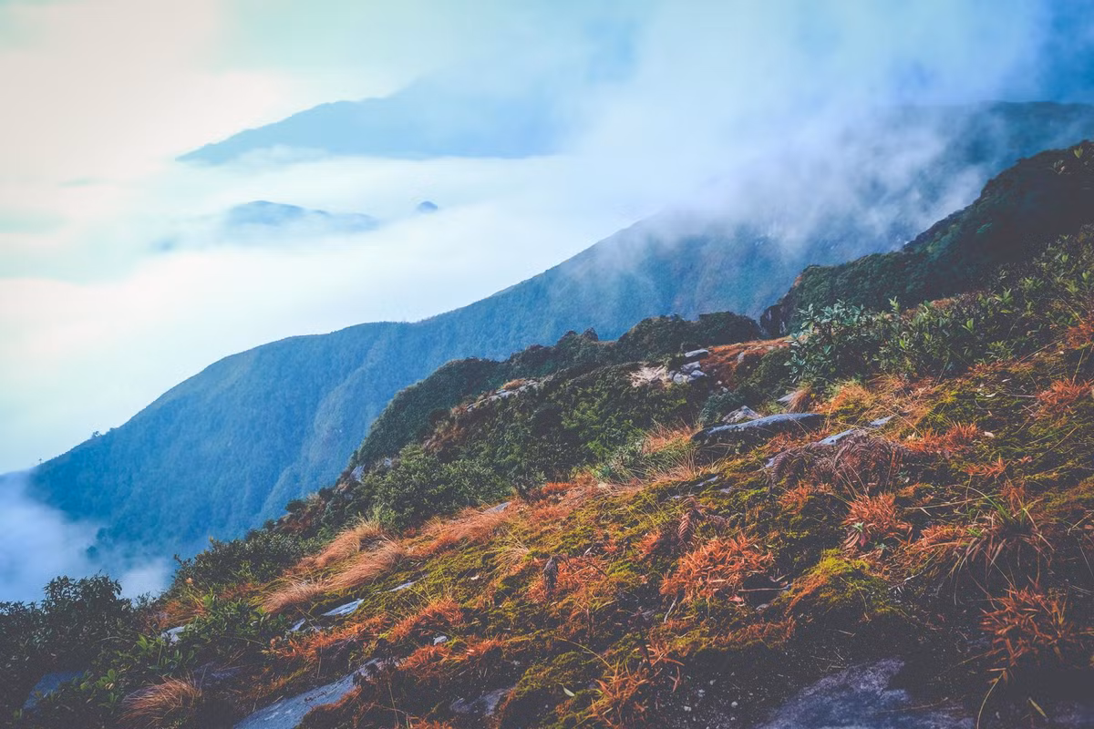 Đường lên đỉnh Bạch Mộc Lương Tử khá dài với hơn 30km đường rừng.