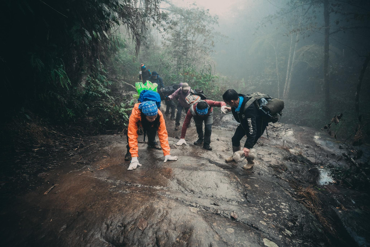Không những vậy, đường lên đỉnh Bạch Mộc Lương Tử còn đi qua nhiều địa hình khác nhau: đồi trọc, rừng tre nứa, rừng gỗ lớn, trúc lùn đến những vách đá cheo leo toàn rêu phủ dễ trượt ngã.