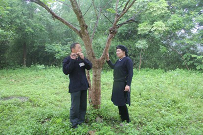 Không chỉ là nơi hẹn hò của các đôi trai gái đang yêu, chợ còn là nơi hẹn gặp lại của những cặp tình nhân trước đây vì lý do nào đó họ không thể đến được với nhau nay hẹn gặp để chia sẻ, kể cho nhau nghe về những thăng trầm trong cuộc sống.