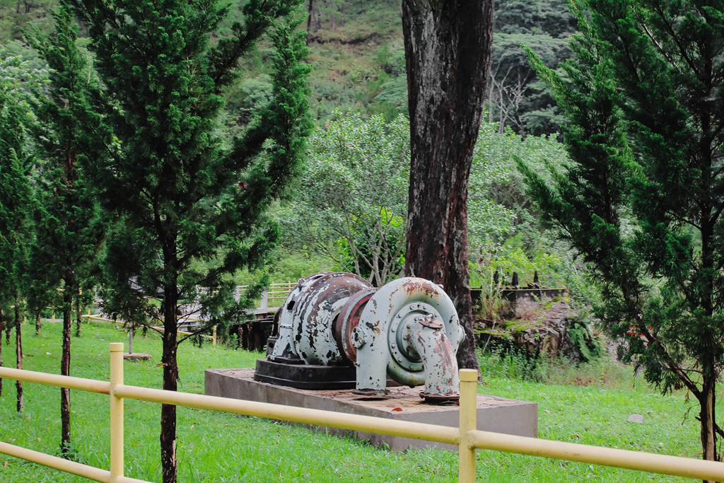 Hoặc hít thở không khí trong lành thơm mùi lá thông và tận hưởng vẻ đẹp hoang sơ, thơ mộng mà hiếm có công trình xây dựng nào có được.