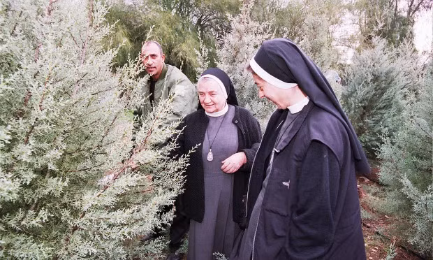 Tích cực trồng cây: Việc trồng cây ngăn chặn được đà sa mạc hóa và cung cấp chất dinh dưỡng cho đất. Trong 100 năm qua, Israel là quốc gia duy nhất trên thế giới có tốc độ tăng trưởng ròng về diện tích cây trồng.