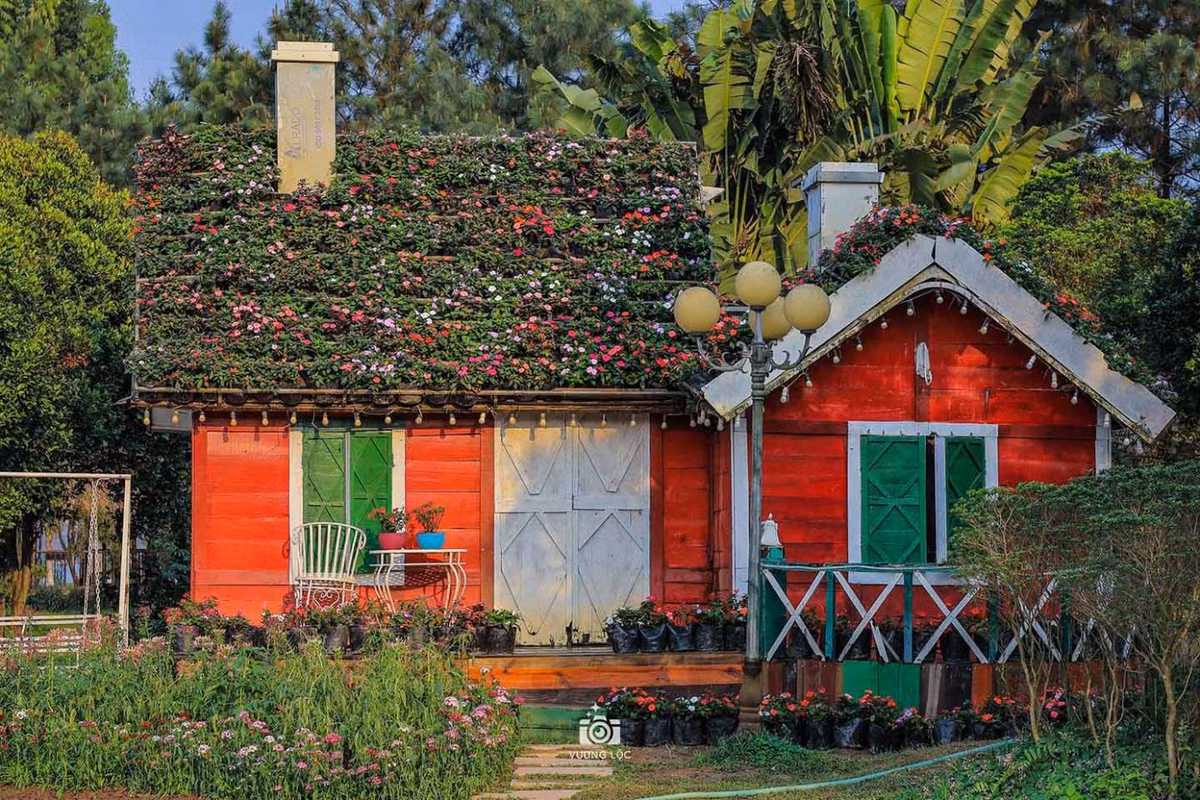 Một khu vườn được thiết kế theo phong cách châu Âu. Ảnh: Vương Lộc