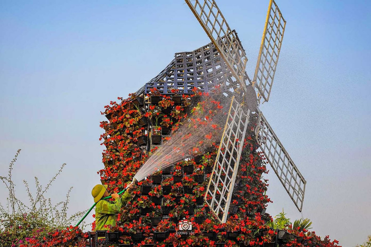 Một tiểu cảnh cối xay gió từ những giỏ hoa. Ảnh: Vương Lộc