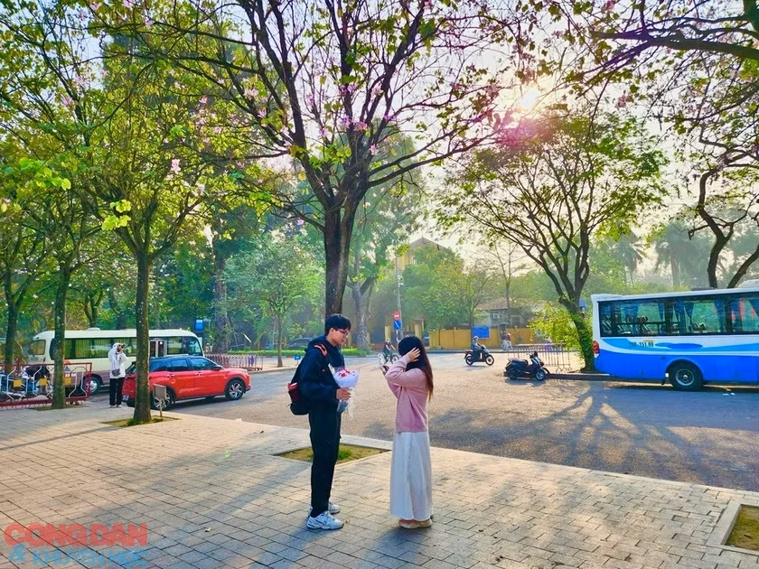 Mùa hoa ban đi cùng những kỉ niệm đẹp về tình yêu. Ảnh: Trang Linh - Đắc Quang
