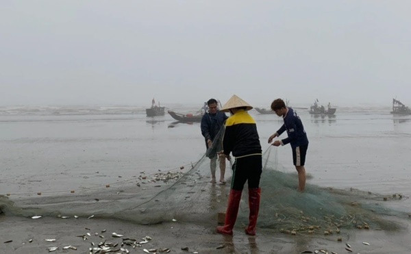 Danh bat ca trich gan bo, ngu dan thu ve tien trieu/ngay
