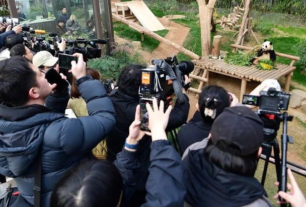 "Fu Bao là gấu trúc con đầu tiên mà tôi chăm sóc. Trái tim tôi tràn ngập kỷ niệm về Fu Bao, những kỷ niệm mà tôi sẽ không bao giờ quên", ông Kang chia sẻ. Ảnh: The Chosun Daily.