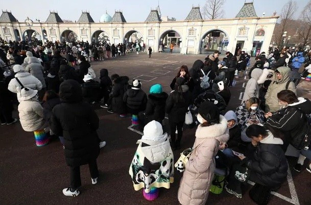 Bố mẹ của Fu Bao là gấu đực Le Bao (11 tuổi) và Ai Bao (10 tuổi) tới Hàn Quốc từ năm 2016 như một phần trong chương trình ngoại giao gấu trúc của Trung Quốc. Tháng 7/2023, Ái Bảo cũng sinh cặp song sinh gấu trúc tại Hàn Quốc. Ảnh: The Chosun Daily.