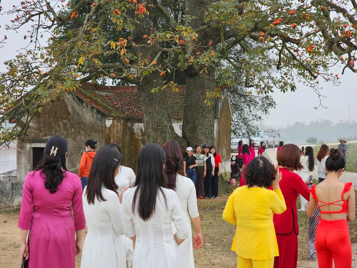 Di tích Miếu Bà Cô nằm cách TP Bắc Giang 15km về phía Đông Nam, cách Hà Nội 80km về phía Đông Bắc.