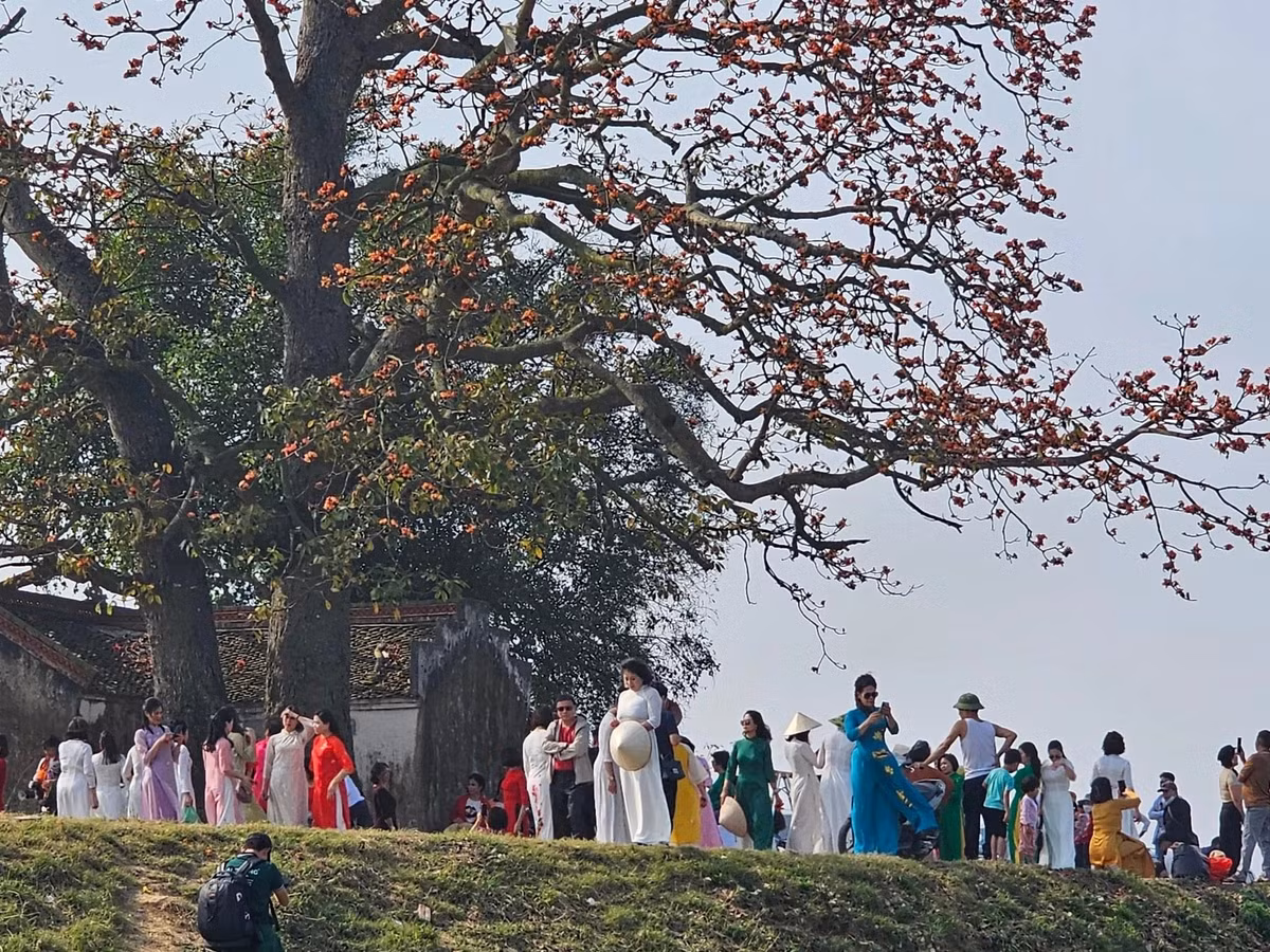 Theo biên bản thẩm định để lập hồ sơ của Hội Sinh vật cảnh tỉnh Bắc Giang, cây gạo cao 27,5m với diện tích phủ tán 120m2, đường kính thân cây 2,4m. Nhiều chuyên gia văn hóa và người dân đề nghị chính quyền tỉnh Bắc Giang hoặc huyện Yên Dũng có chính sách bảo tồn nguyên trạng vẻ đẹp kiến trúc cũng như không gian, bối cảnh thơ mộng, đồng nhất cho khu di tích này, tránh bê tông hóa, hiện đại hóa như nhiều nơi đang mắc phải.