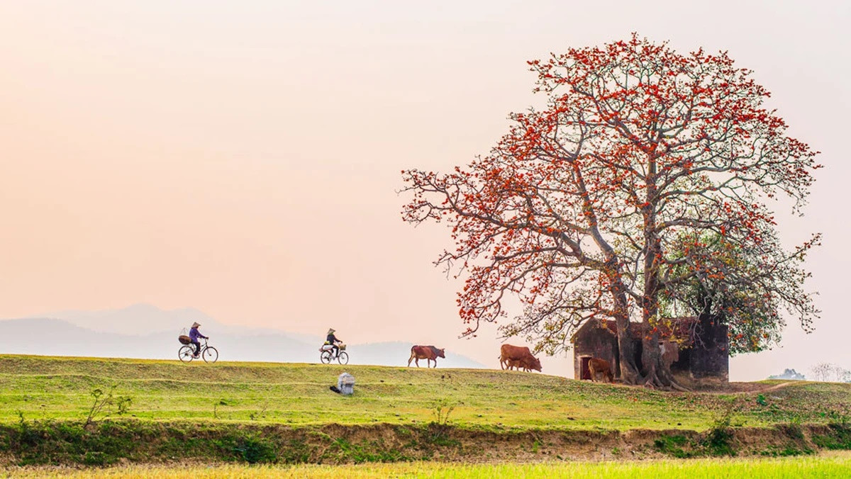 Sông Thương là một trong những dòng sông đẹp và nổi tiếng ở miền Bắc nước ta, đã đi vào nhiều tác phẩm thơ ca, nhạc họa, điện ảnh...