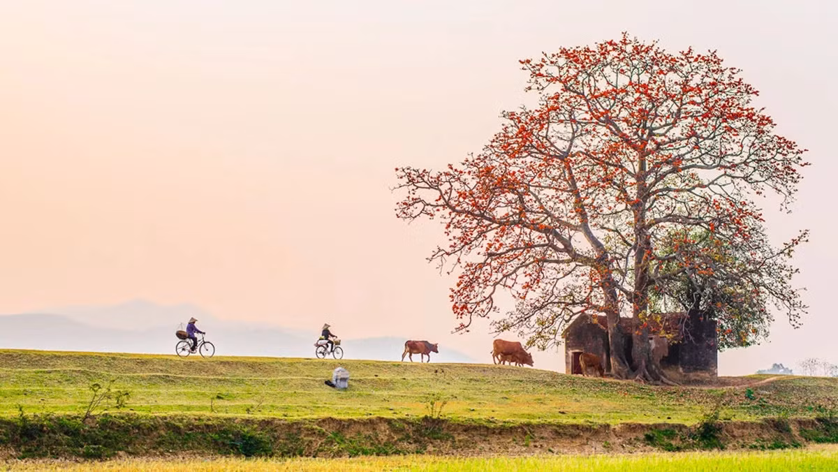 Sông Thương là một trong những dòng sông đẹp và nổi tiếng ở miền Bắc nước ta, đã đi vào nhiều tác phẩm thơ ca, nhạc họa, điện ảnh...