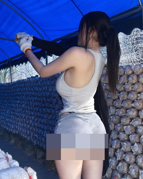 Hot girl người Thái Lan mặc quần short ngắn cũn cỡn trong một lần đi thu hoạch nấm.