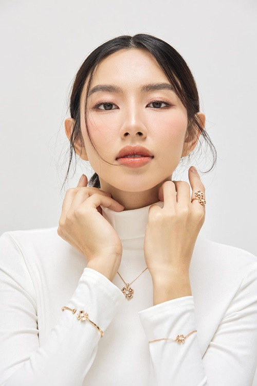 Có không ít tin đồn về thu nhập của Thùy Tiên. Tháng 10/2022, ông Nawat Itsaragrisil - Chủ tịch cuộc thi Miss Grand International tiết lộ, Thùy Tiên kiếm ít nhất 2-3 triệu USD trong nhiệm kỳ hoa hậu.
