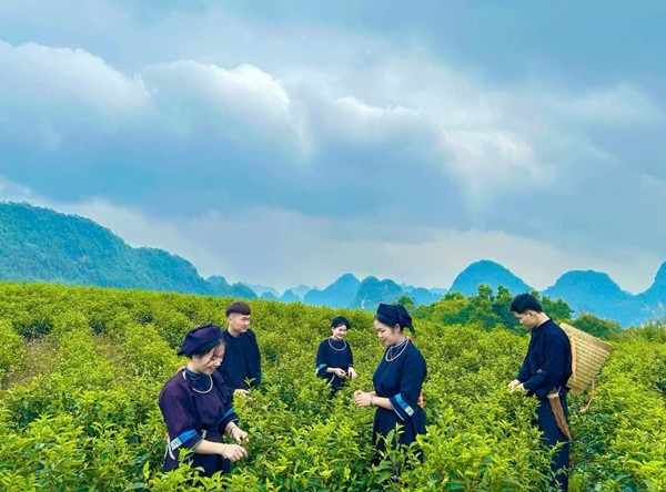 Gioi tre thich thu den Cao Bang checkin doi che Lung Sau