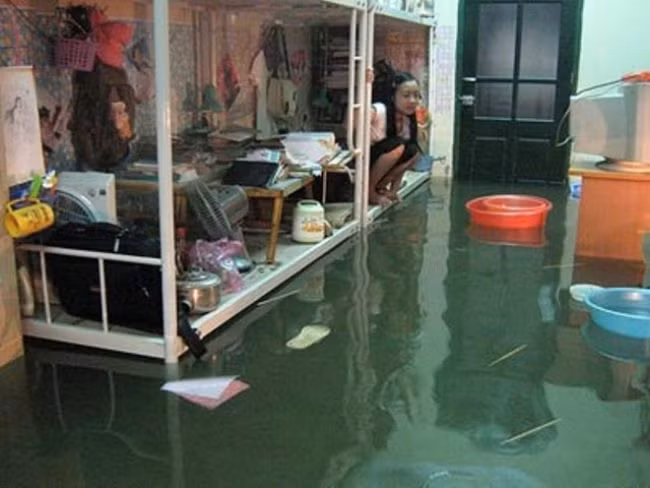 Nước ngập đến giường tầng 1, sinh viên đã phải di chuyển hết đồ đạc lên giường và ăn mỳ gói trong vòng 1 tuần chờ nước rút.