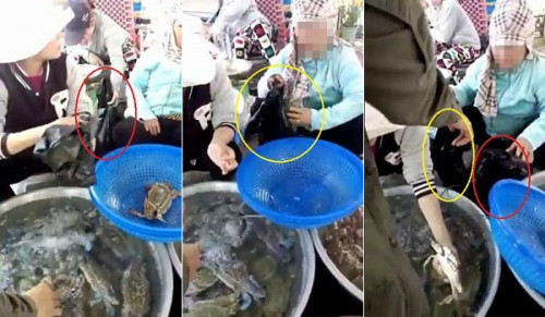 Người phụ nữ đánh tráo chiếc túi đựng ghẹ sống sang ghẹ chết thì bị khách phát hiện.