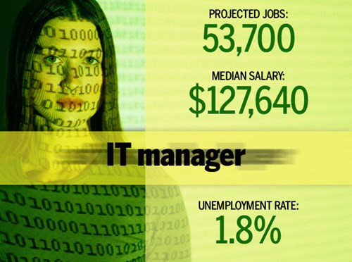 4. Quản lý CNTT. Nhà quản lý CNTT có trách nhiệm đánh giá và cung cấp các chiến lược CNTT dài hạn cho doanh nghiệp. Họ làm việc với ban giám đốc công ty về các vấn đề công nghệ liên quan, lên kế hoạch nâng cấp phần mềm hoặc phần cứng và đàm phán với các nhà cung cấp dịch vụ cho các sản phẩm hiện tại hoặc mua mới.
