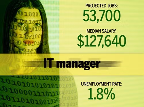 4. Quản lý CNTT. Nhà quản lý CNTT có trách nhiệm đánh giá và cung cấp các chiến lược CNTT dài hạn cho doanh nghiệp. Họ làm việc với ban giám đốc công ty về các vấn đề công nghệ liên quan, lên kế hoạch nâng cấp phần mềm hoặc phần cứng và đàm phán với các nhà cung cấp dịch vụ cho các sản phẩm hiện tại hoặc mua mới.