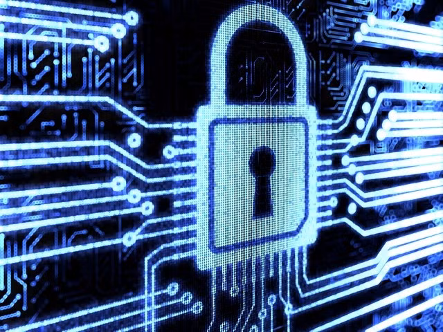 The Level Seven Crew: Một trong những nhóm hacker nổi tiếng vào năm 1999 khi lấy cảm hứng từ thần khúc “Địa ngục” (Inferno) của Dante. Nạn nhân là ngân hàng The First American National, NASA, đại sứ quán Mỹ và khách sạn Sheraton.