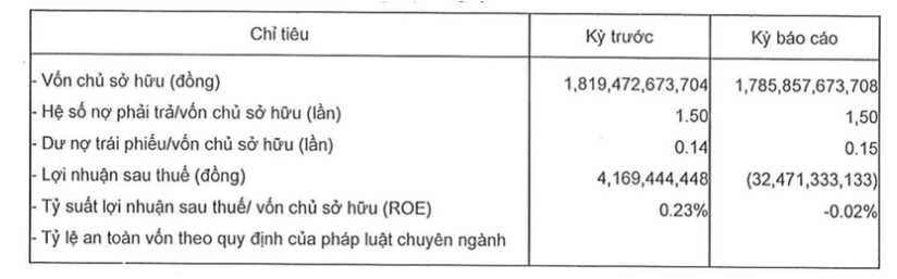 “Suc khoe” CTCP Dau tu Phan Vu ra sao ?-Hinh-5